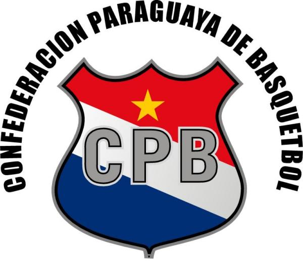 Paraguay 0-Pres Primary Logo iron on transfers for T-shirts